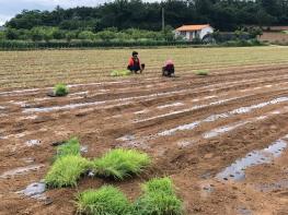 전남도, 농업정책보험료 지원 1천946억 역대 최다 기사 이미지